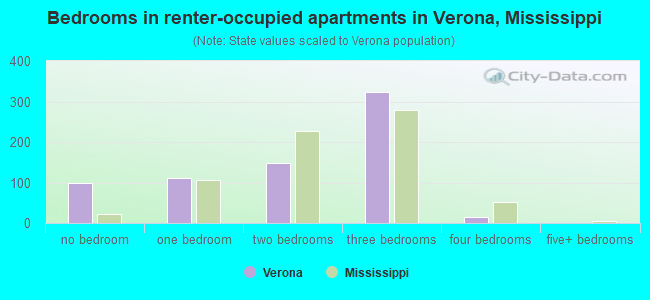 Bedrooms in renter-occupied apartments in Verona, Mississippi