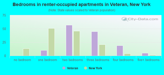 Bedrooms in renter-occupied apartments in Veteran, New York