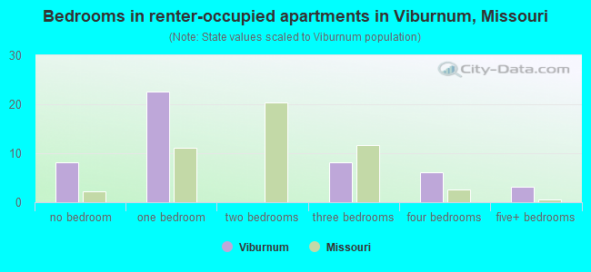 Bedrooms in renter-occupied apartments in Viburnum, Missouri