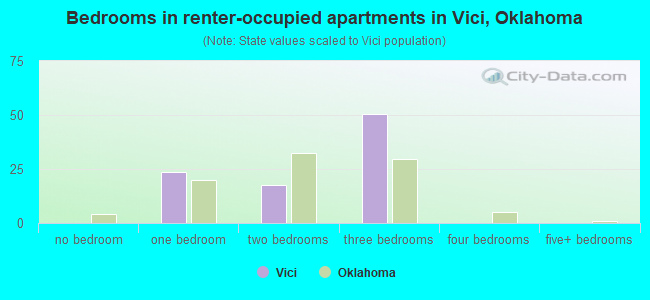 Bedrooms in renter-occupied apartments in Vici, Oklahoma