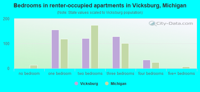 Bedrooms in renter-occupied apartments in Vicksburg, Michigan