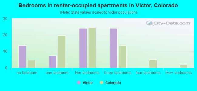 Bedrooms in renter-occupied apartments in Victor, Colorado