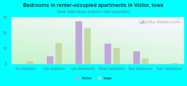 Bedrooms in renter-occupied apartments in Victor, Iowa