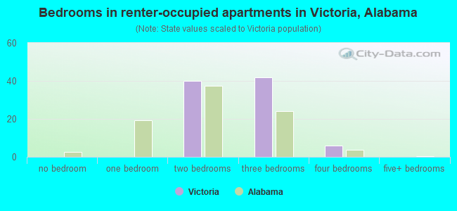 Bedrooms in renter-occupied apartments in Victoria, Alabama