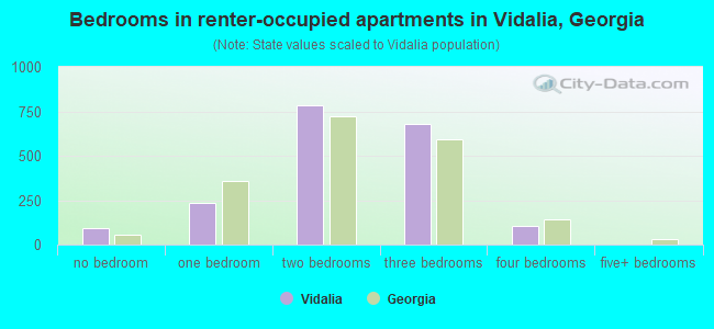 Bedrooms in renter-occupied apartments in Vidalia, Georgia