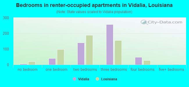 Bedrooms in renter-occupied apartments in Vidalia, Louisiana