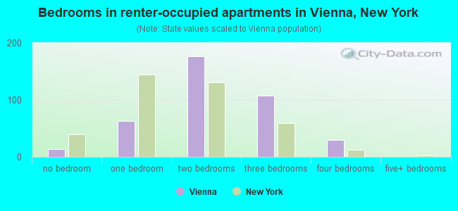 Bedrooms in renter-occupied apartments in Vienna, New York