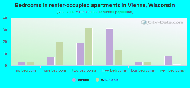 Bedrooms in renter-occupied apartments in Vienna, Wisconsin