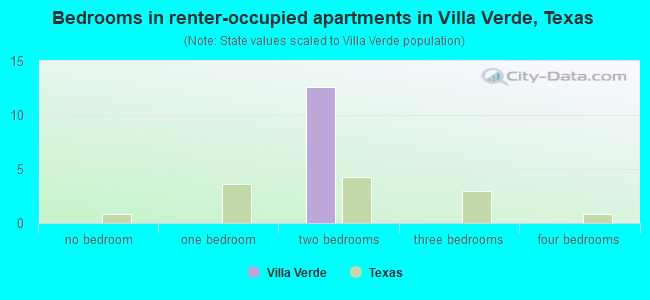 Bedrooms in renter-occupied apartments in Villa Verde, Texas