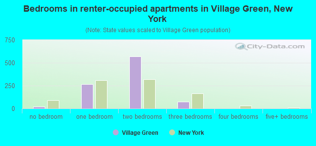 Bedrooms in renter-occupied apartments in Village Green, New York
