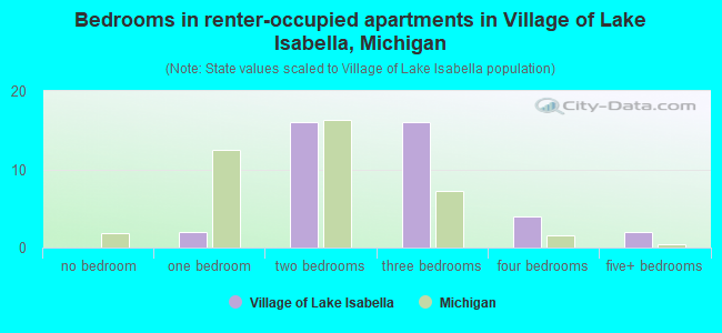 Bedrooms in renter-occupied apartments in Village of Lake Isabella, Michigan