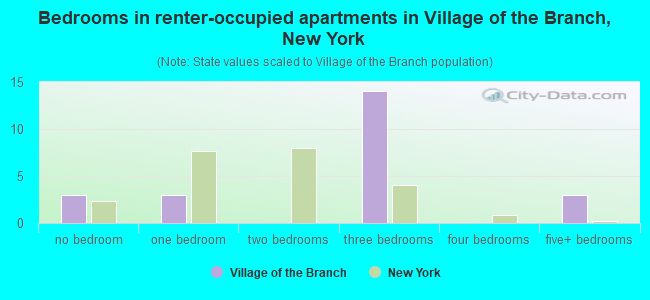 Bedrooms in renter-occupied apartments in Village of the Branch, New York