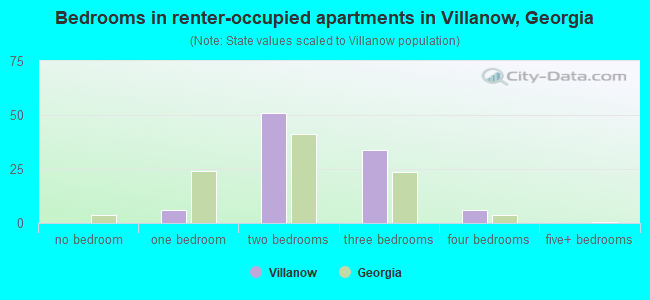Bedrooms in renter-occupied apartments in Villanow, Georgia