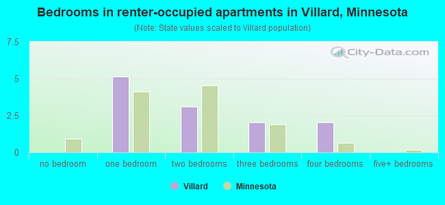 Bedrooms in renter-occupied apartments in Villard, Minnesota