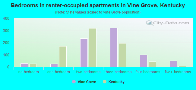 Bedrooms in renter-occupied apartments in Vine Grove, Kentucky