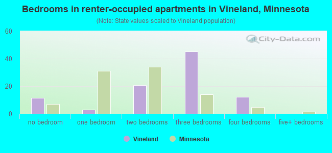 Bedrooms in renter-occupied apartments in Vineland, Minnesota
