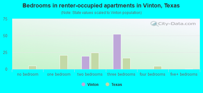 Bedrooms in renter-occupied apartments in Vinton, Texas