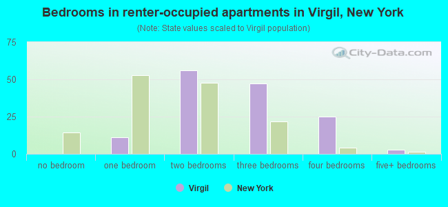 Bedrooms in renter-occupied apartments in Virgil, New York