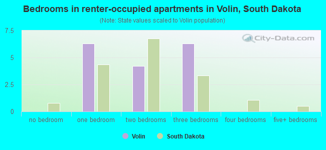 Bedrooms in renter-occupied apartments in Volin, South Dakota