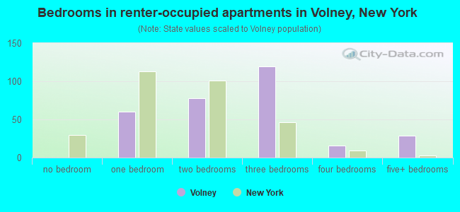 Bedrooms in renter-occupied apartments in Volney, New York