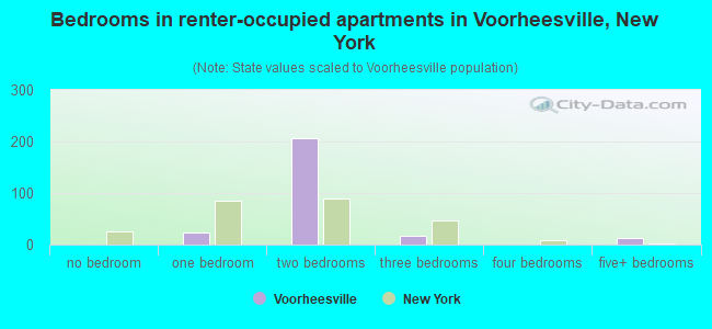 Bedrooms in renter-occupied apartments in Voorheesville, New York