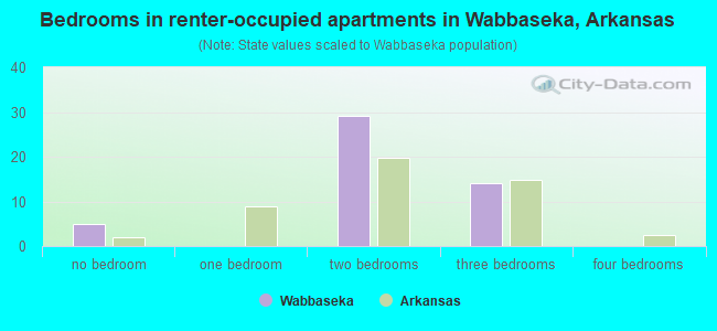 Bedrooms in renter-occupied apartments in Wabbaseka, Arkansas