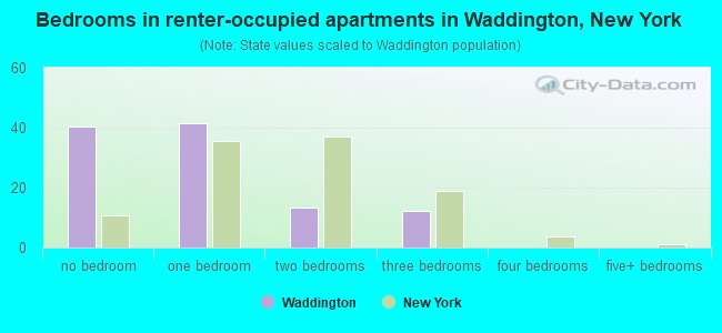 Bedrooms in renter-occupied apartments in Waddington, New York