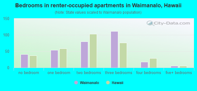 Bedrooms in renter-occupied apartments in Waimanalo, Hawaii