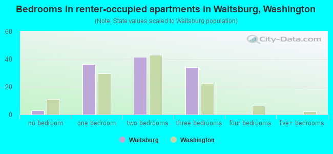 Bedrooms in renter-occupied apartments in Waitsburg, Washington