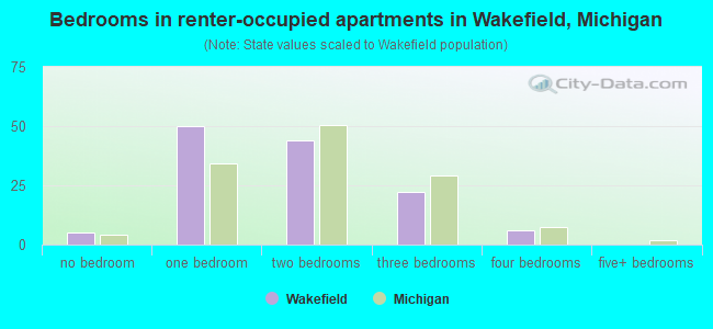 Bedrooms in renter-occupied apartments in Wakefield, Michigan