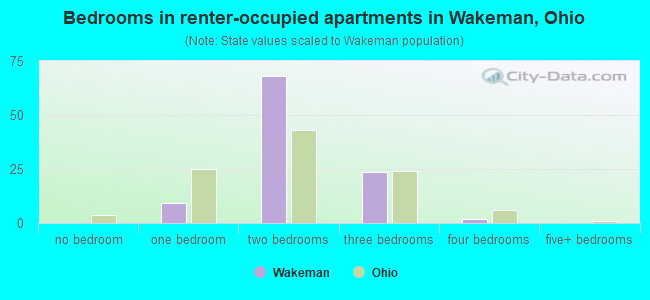 Bedrooms in renter-occupied apartments in Wakeman, Ohio
