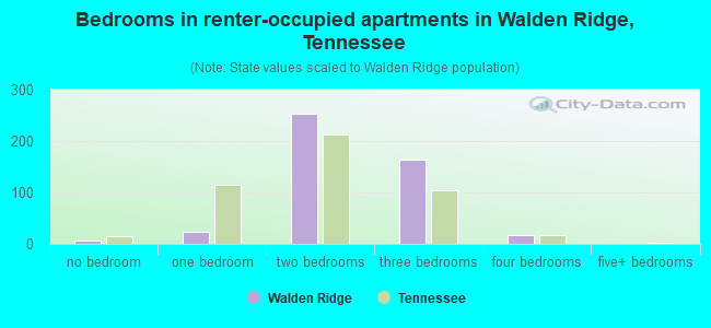 Bedrooms in renter-occupied apartments in Walden Ridge, Tennessee