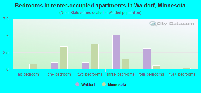 Bedrooms in renter-occupied apartments in Waldorf, Minnesota