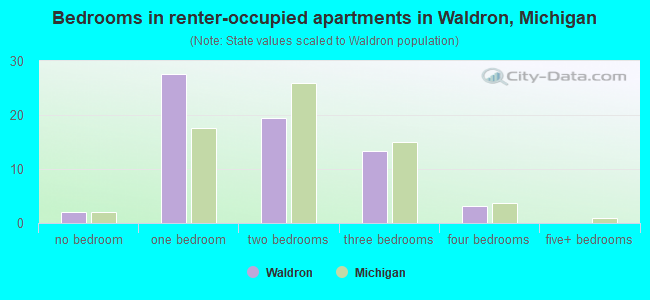 Bedrooms in renter-occupied apartments in Waldron, Michigan