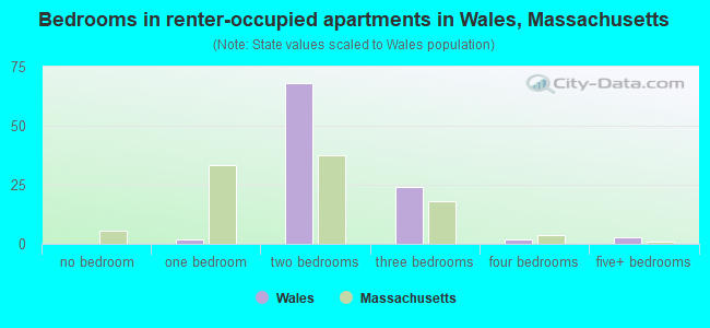 Bedrooms in renter-occupied apartments in Wales, Massachusetts