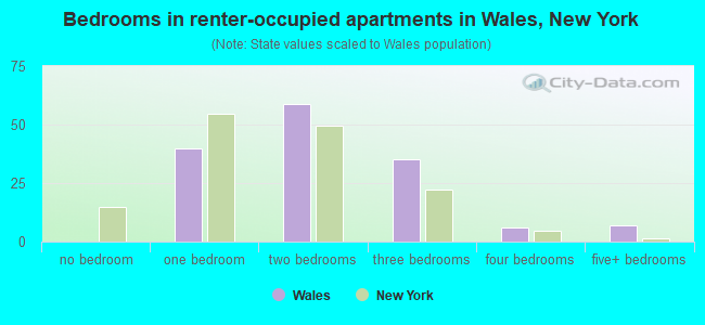 Bedrooms in renter-occupied apartments in Wales, New York