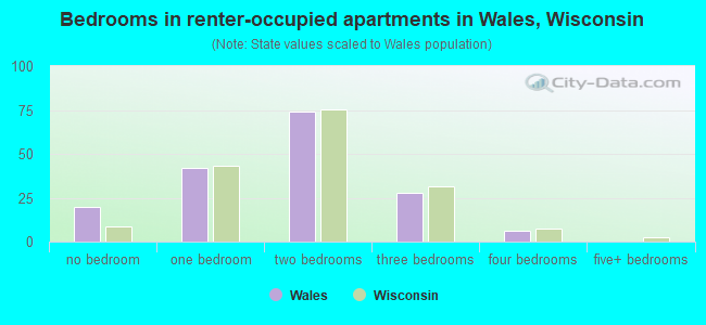Bedrooms in renter-occupied apartments in Wales, Wisconsin