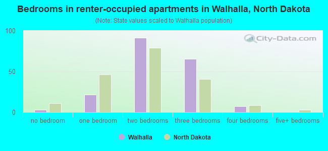 Bedrooms in renter-occupied apartments in Walhalla, North Dakota