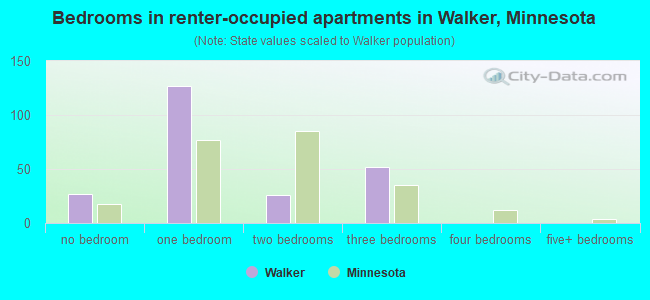 Bedrooms in renter-occupied apartments in Walker, Minnesota