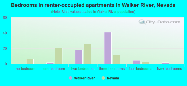 Bedrooms in renter-occupied apartments in Walker River, Nevada