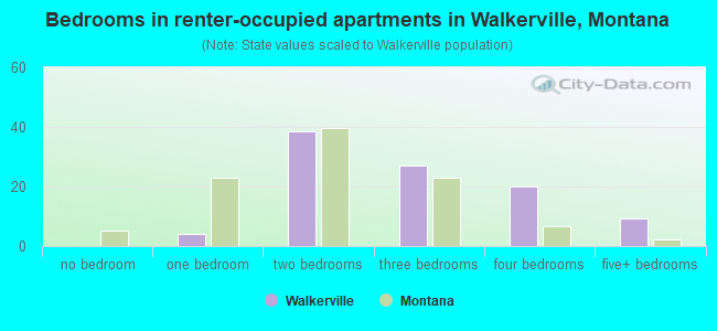 Bedrooms in renter-occupied apartments in Walkerville, Montana