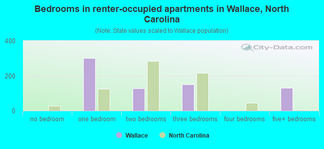 Bedrooms in renter-occupied apartments in Wallace, North Carolina