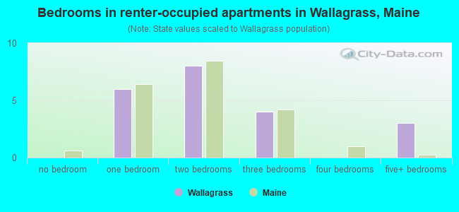 Bedrooms in renter-occupied apartments in Wallagrass, Maine