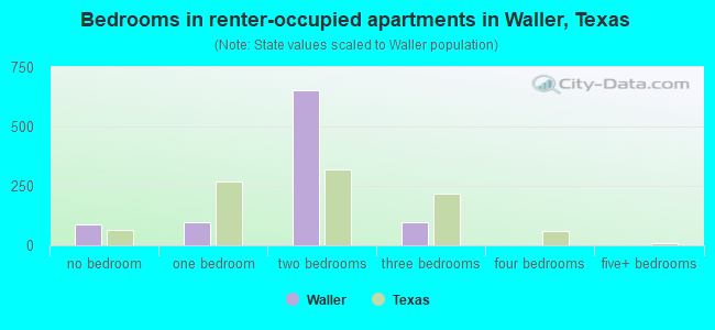 Bedrooms in renter-occupied apartments in Waller, Texas