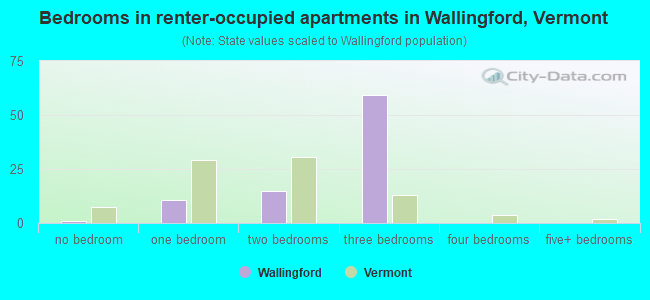 Bedrooms in renter-occupied apartments in Wallingford, Vermont