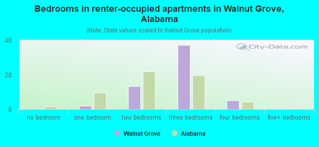Bedrooms in renter-occupied apartments in Walnut Grove, Alabama