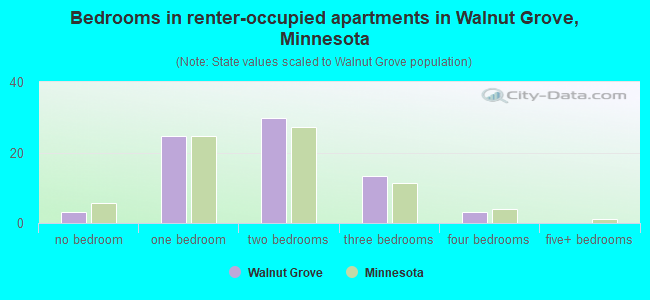 Bedrooms in renter-occupied apartments in Walnut Grove, Minnesota