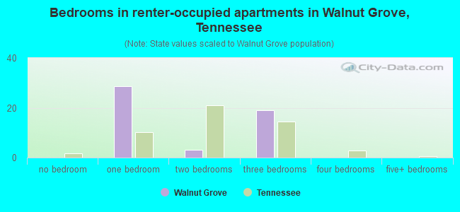 Bedrooms in renter-occupied apartments in Walnut Grove, Tennessee