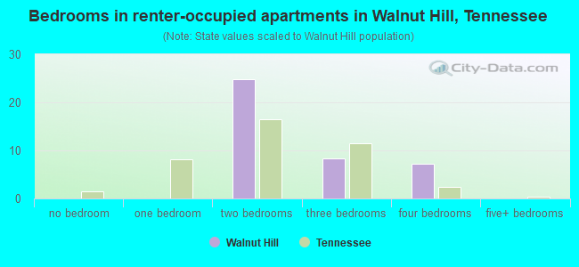 Bedrooms in renter-occupied apartments in Walnut Hill, Tennessee