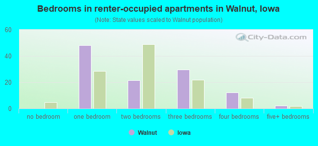 Bedrooms in renter-occupied apartments in Walnut, Iowa
